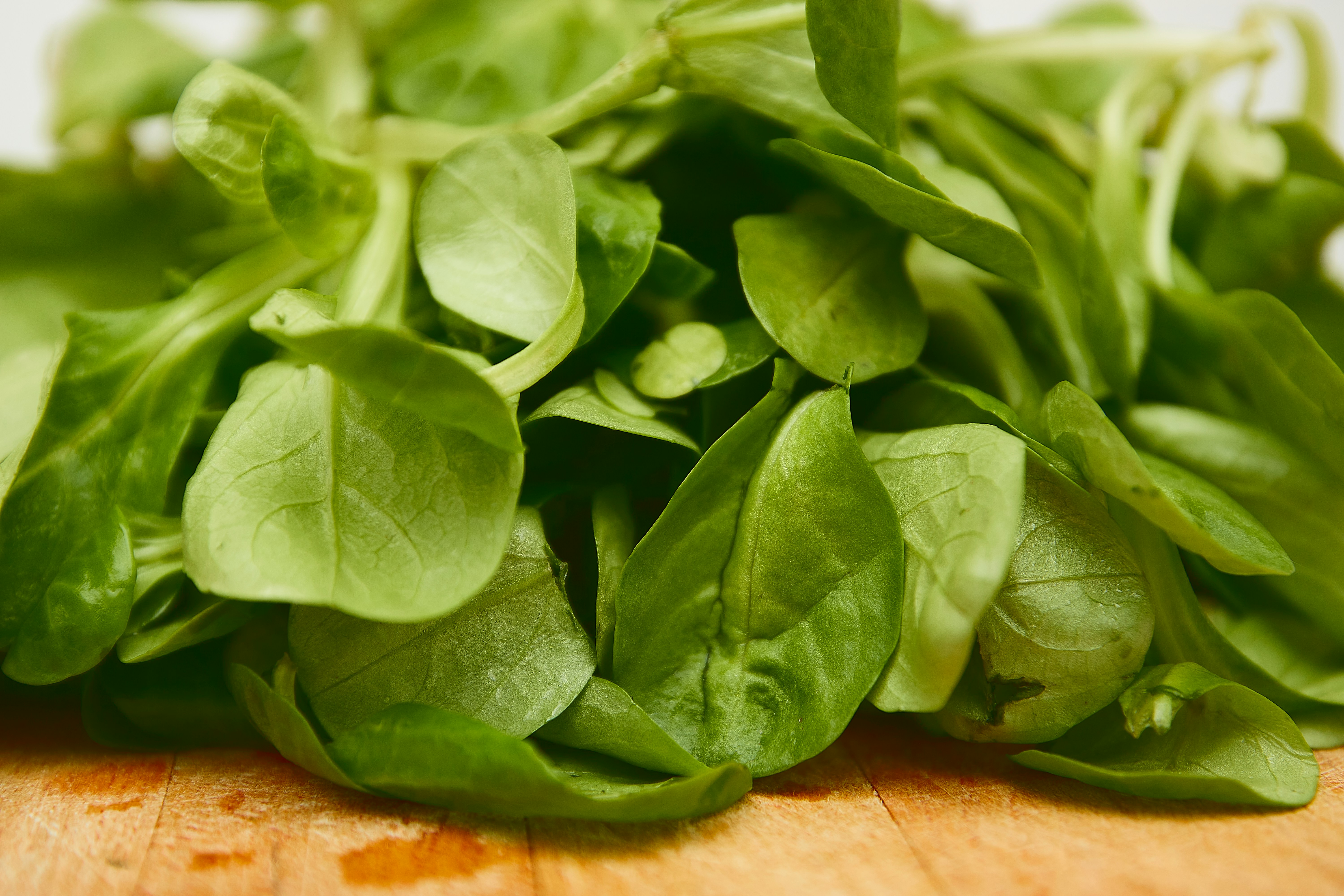 Fresh Spinach Leaves
